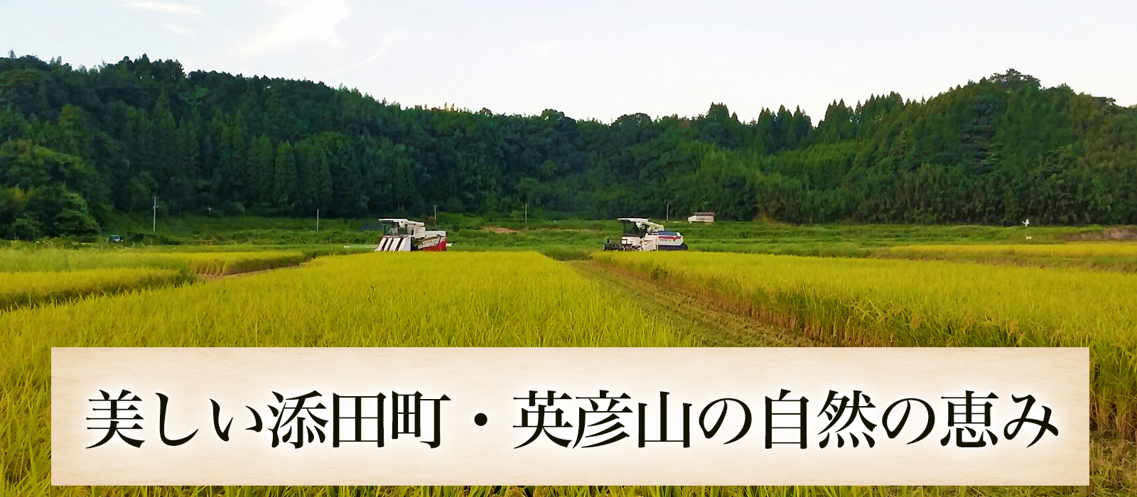 美しい添田町・英彦山の自然の恵み